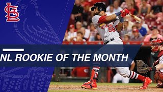 Rookie of the Month: Jose Martinez