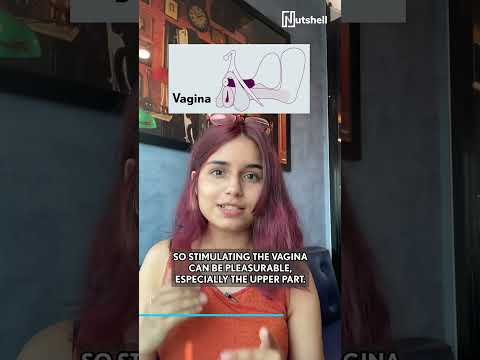 Here S How To Find The G Spot Nutshell Shorts 59