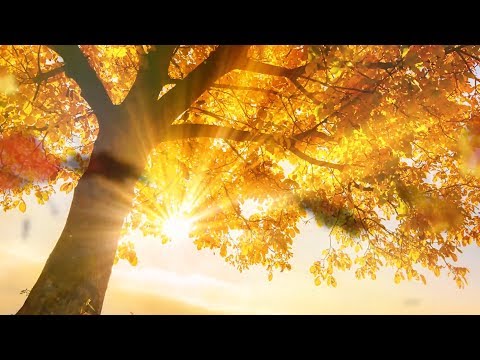 Peaaceful music, Relaxing music, Instrumental music