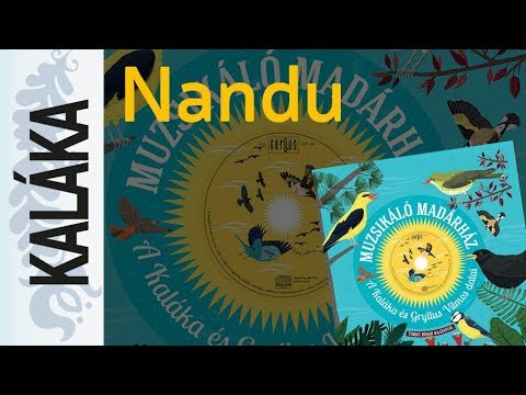 Tamkó Sirató Károly: Nandu | Muzsikáló madárház  A Kaláka és Gryllus Vilmos dalai