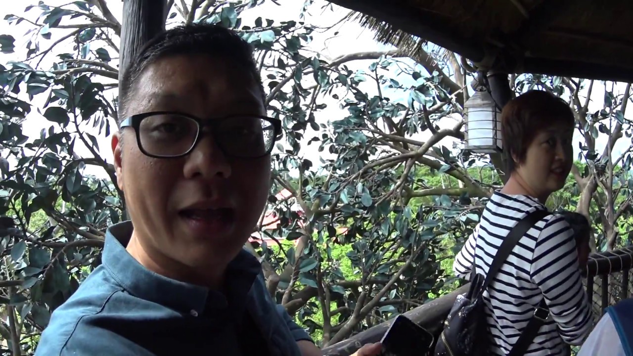 camera iphone 8 plus apk climbing tree house .disneyland..jun18