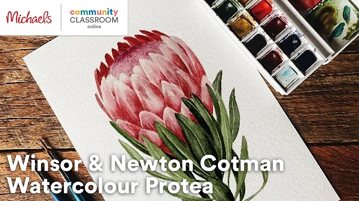 Online Class: Winsor & Newton Cotman Watercolour P...