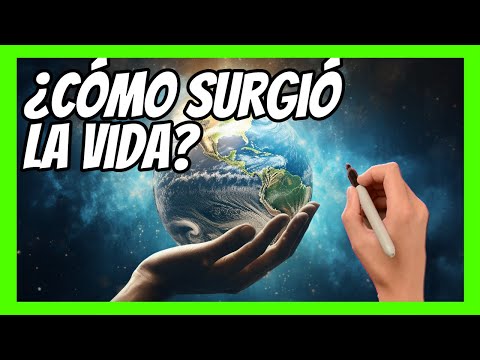 Video: El origen de la vida en la Tierra