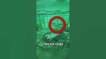 This is how crab traps actually work underwater! 🦀