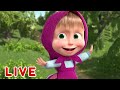 🔴 LIVE STREAM 🎬 Masha and the Bear 🐻👱‍♀️ It's always sunny in the forest 🌞🌳