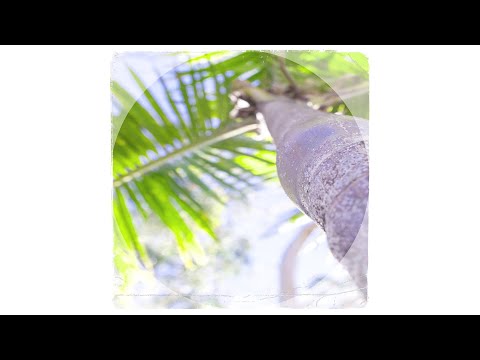 I Can East - Lemon For The Soul