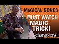 Magical Bones | Champions Speakers