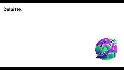 The Summer Internship Programme