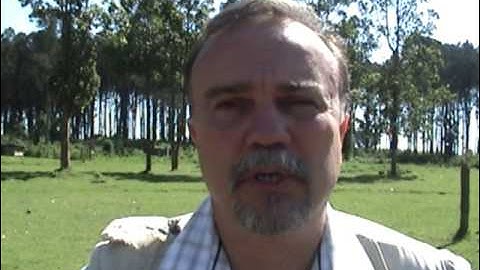 Participatory 3D Modelling: a review