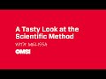 Science Lab Book and Experimentation Quiz