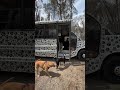 I wish California has dog bus near me