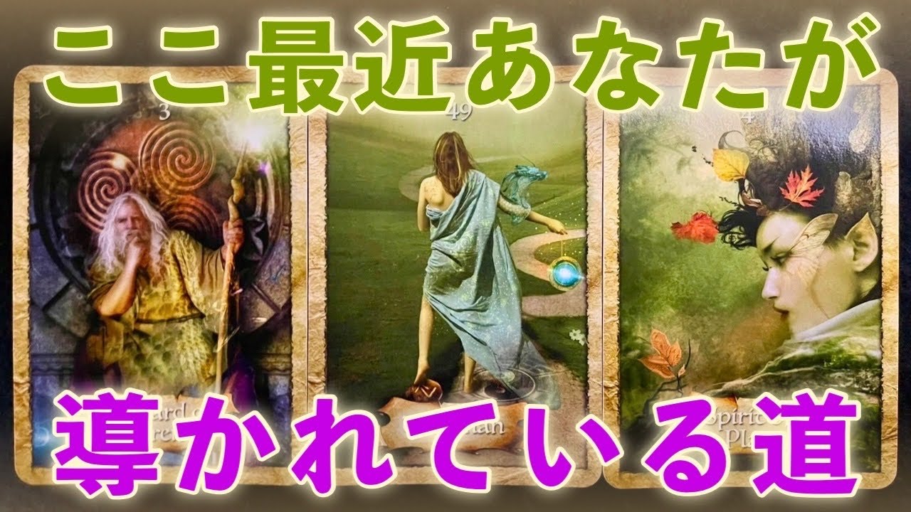 【鳥肌級😨】ここ最近あなたが、導かれている道‼️怖いほど当たる✨人生が変わるオラクルカードリーディング✨占い✨スピリチュアル✨ /Message for you /Oracle card