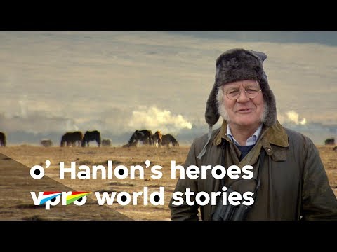 In the steps of Przewalski in Asia - O&rsquo;Hanlon&rsquo;s Heroes