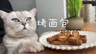 【面白い猫】怒った猫はとてもかわいいです!!!🤣おかしな🤣猫と犬🥰笑わないようにしてください🥰面白いペットの愛の動物 #20210911