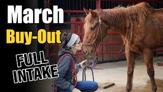 March Buyout Program | Full Intake by Horse Plus Humane Society 47,696 views 3 weeks ago 1 hour, 24 minutes