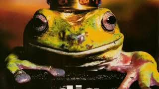 Dig - I'll Stay High (Mark Radcliffe Radio 1 Session)