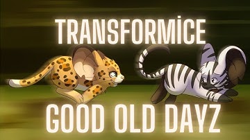 Transformice Old dayzzzzzzzzzz #transformice