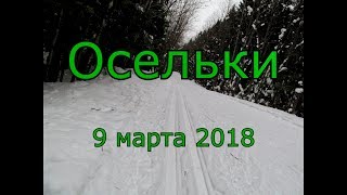Лыжи 2018