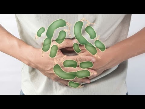 Video: Ən çox salmonella serotipləri harada tapılır?