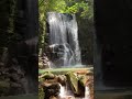 桑ノ木の滝