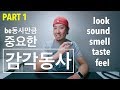 감각동사 - PART 1 (기본개념) - look, sound, smell, taste, feel