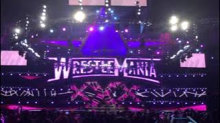 AJ Lee's WrestleMania 30 Entrance