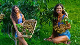 My FIRST Longan Harvest! π± Insane Pick from My 800+ Fruit Tree Organic Orchard in Hawaii ππ΄