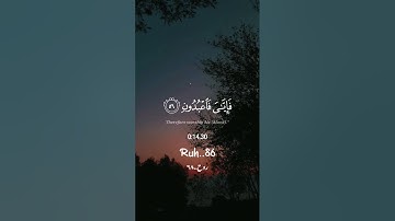 سورة العنكبوت 🍁الآية {56-57} بصوت القارئ عبدالرحمن مسعد🎙️🤍