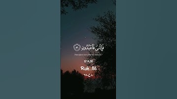 سورة العنكبوت 🍁الآية {56-57} بصوت القارئ عبدالرحمن مسعد🎙️🤍