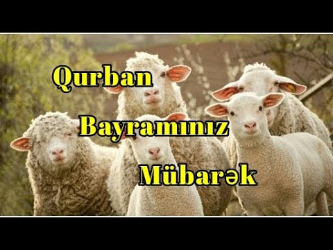 Qurban bayramınız mübarək || Qurban bayramı təbrikləri - dini statuslar - Bayramınız mübarək olsun