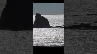 Columnas basálticas en el Cabo de Gata