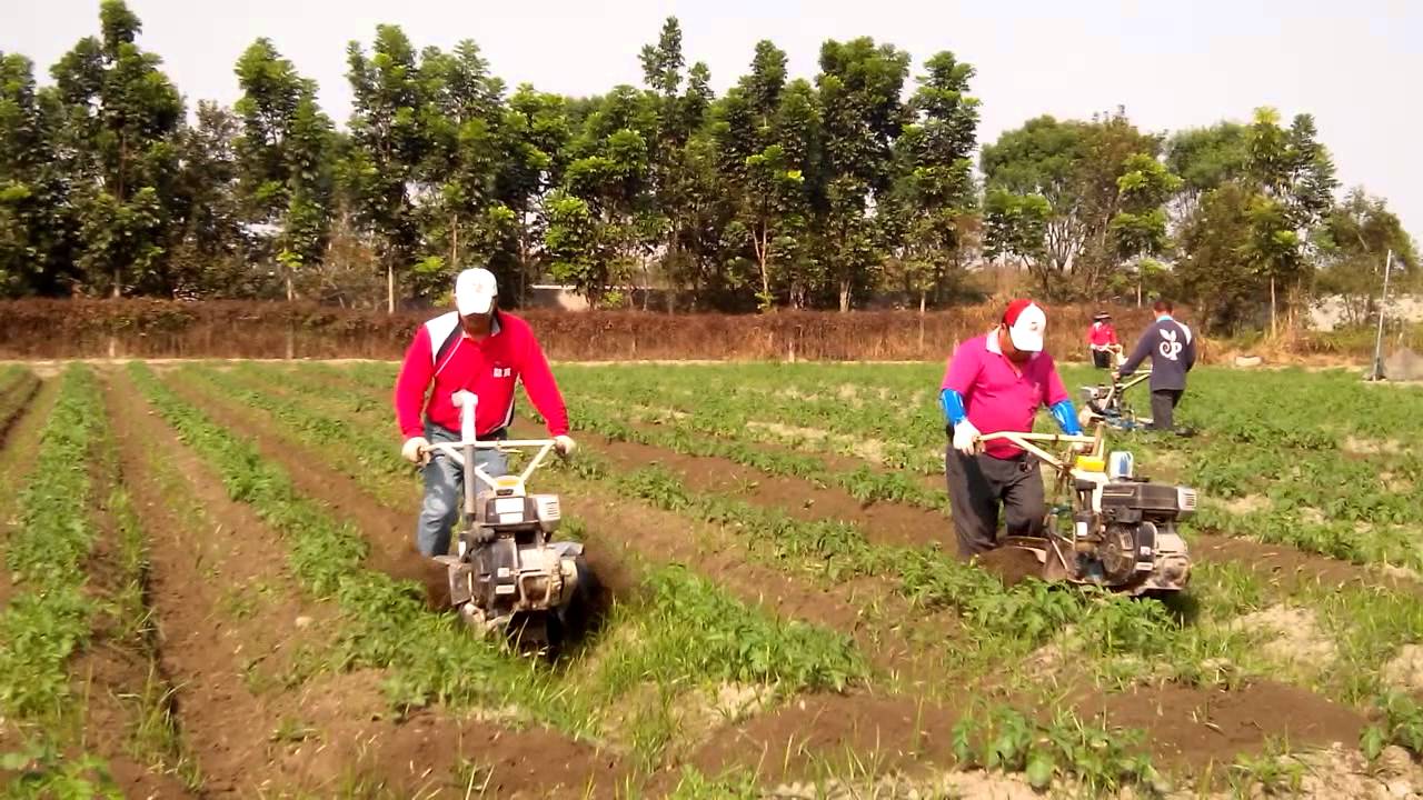 中耕機!馬鈴薯傳統中耕培土! - YouTube