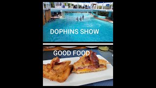 GOOD FOOD WITH GREAT DOLPHIN SHOW
