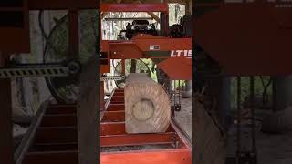 Sawing 4th edging slab from a nice poplar