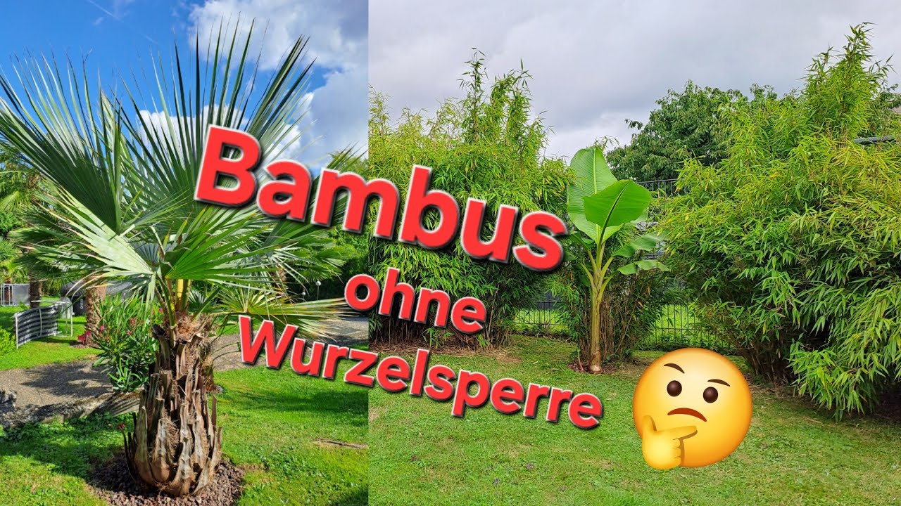 bambus kissenbezug 40x60 Veganer Kissenbezug aus Bambusseide main image 1