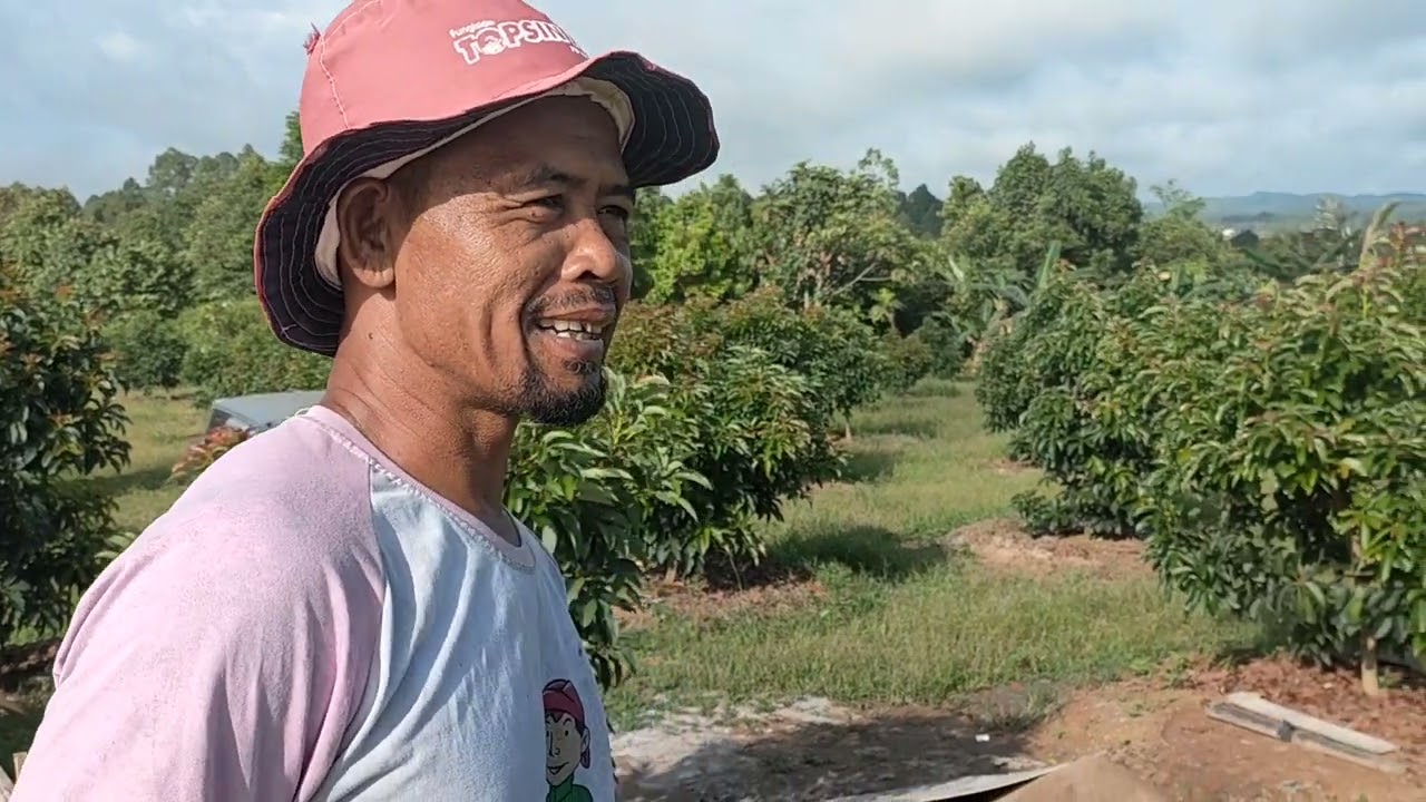 Kebun Alpukat Percontohan Pak Suponidi | Binaan Pak Abdullah Manunggal Jaya L2 Tgr Sbr Kukar Kaltim1