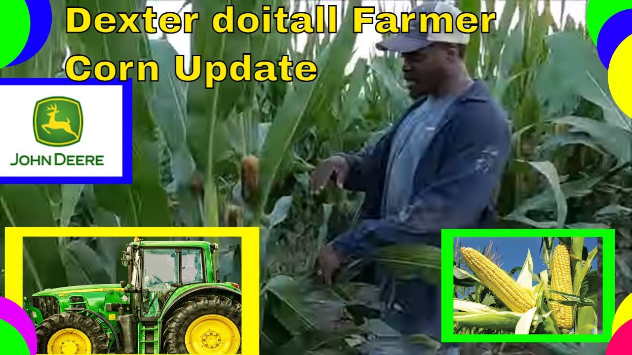 Dexter Doitall Farmer Is Back With An Update!