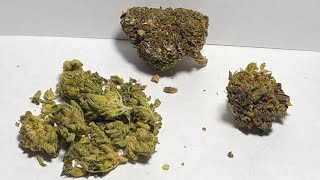 10DC Budget Strain Haul | Q & Z Smokes | Legal THCA Hemp
