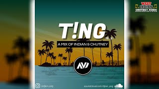 Dj Avi - Tng Vol 10 2023 Chutney Soca Mix