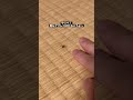 やべぇ人間の家に来ちまったよ(クモ) #shorts