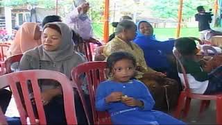 new kalindra//areva music