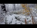 Video Clip: Finding a way down the Methow River to safety