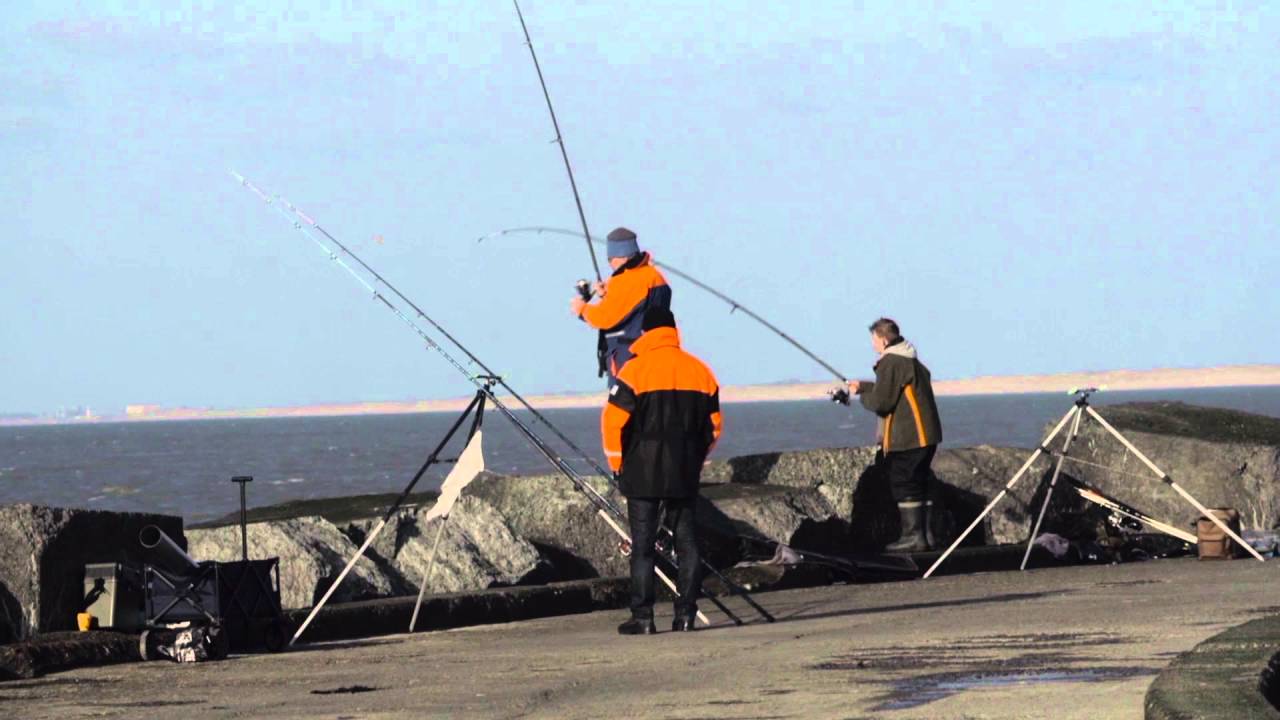 Viswedstrijd Gullen Meppers Gilde Noordpier 27 februari 2016