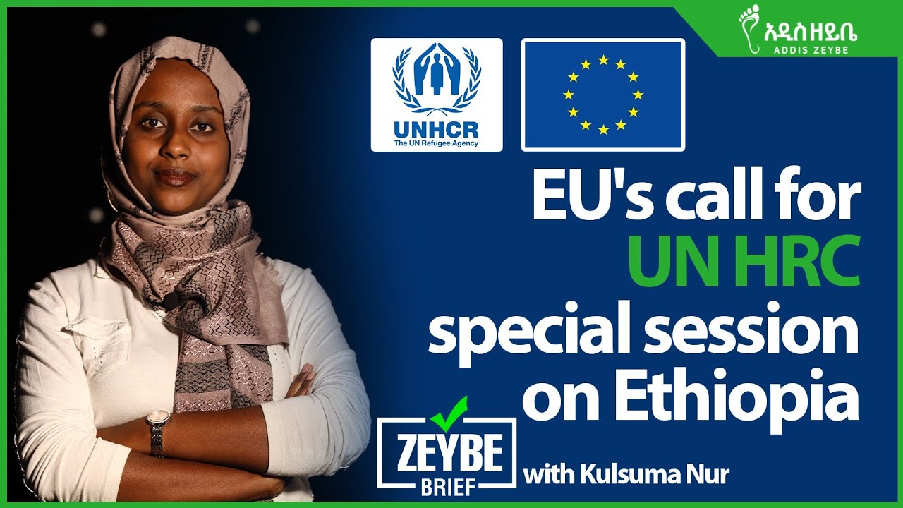 EU's call for UN HRC special session on Ethiopia with Kulsuma Nur - YouTube