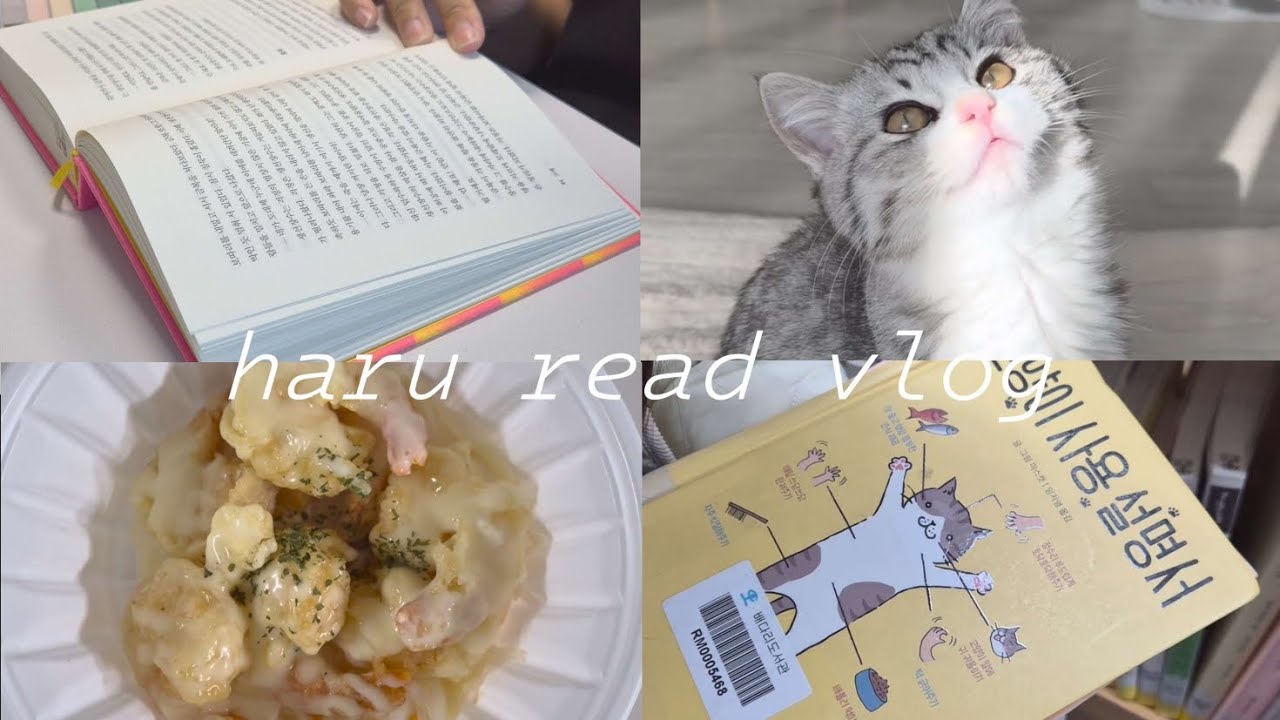 일상 브이로그ㅣ독서 살짝?? 브이로그ㅣ포인핸드 유기묘 입양ㅣ나도 이제 고양이 집사ㅣ고양이 지분이 더 많은 오늘 영상...😅 