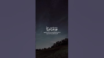 القارئ عمّار رمضان