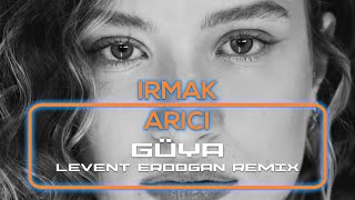 IRMAK ARICI GÜYA REMIX Resimi