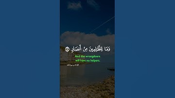 قرآن كريم 🎧 | تلاوة رائعة للشيخ فارس عباد