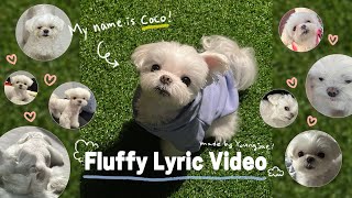 영재(Youngjae) - ‘Fluffy' Lyric Video🐶