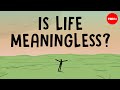 Is life meaningless and other absurd questions   nina medvinskaya